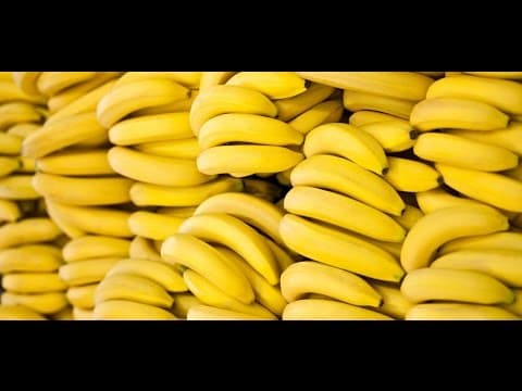 סרטון בונוס - עוד עובדות מפתיעות על בננות