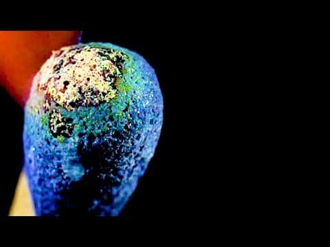 今天学到的事：第86期探索科技与科学奇观