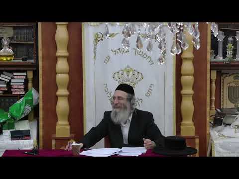 Rabbiner Elimeilech Biderman: Vorbereitung auf Sukkot 5787