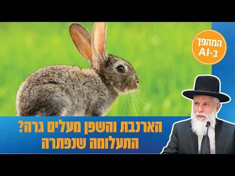 Рави Замир Коэн: Научная загадка зайцев и даманов