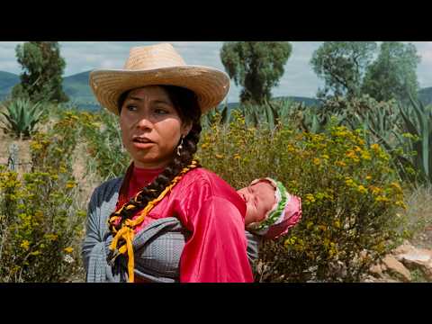 Pobre, pero honrada! (1973) | Classic Mexican Comedy