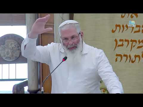 موضوع البكورية بشكل عام، وضربة الابكار بشكل خاص. פרשת בא | الحاخام ران بن موشيه
