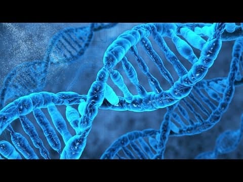 我从DNA中学到的：超越生物学