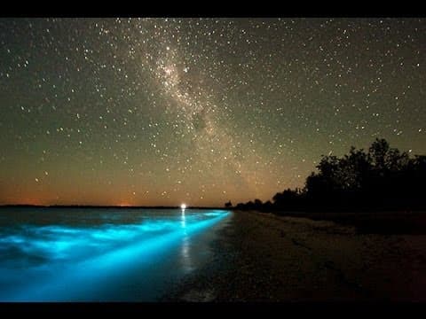 Things I Learned Today: Mysterious Homes and Glowing Plankton