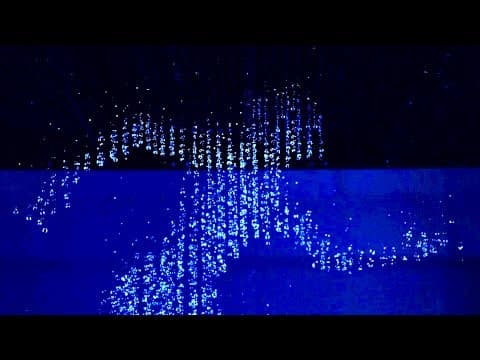דברים שלמדתי היום - פרק 95