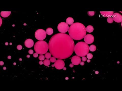 今日所学第40集：探索科学与奇趣小玩意
