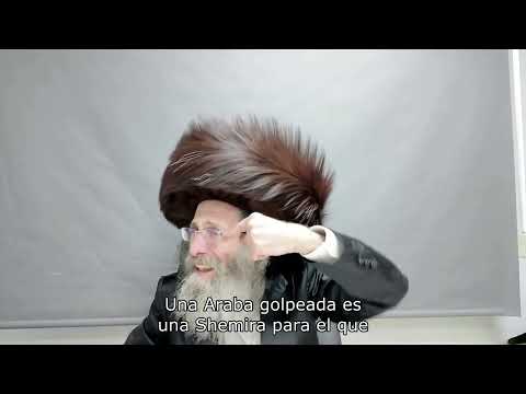 Rabbin Elimelech Biderman: Inspiration zu Hoschana Rabba und Simchat Tora