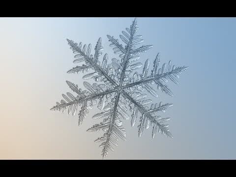 Things I Learned Today: Snowflakes, DNA Art, and Bionics