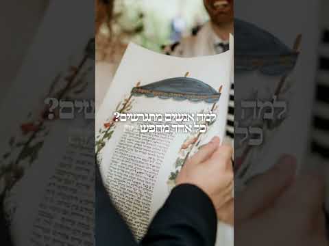 لماذا يطلق الأزواج اليوم؟ الحاخامية فيريد سياني