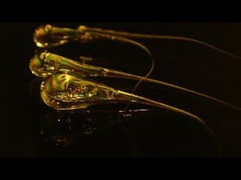 我今天学到的事 - 第 5 集