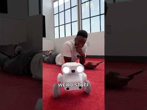 The Wildest Camera Robot Tested by Marques Brownlee