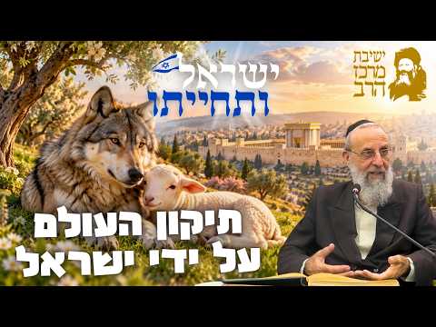 Rabino David Chai HaCohen: Orot Yisrael e a reparação do mundo