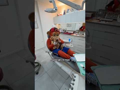 Ich habe Roshti zum Tierarzt gebracht - Kofiko Kanal