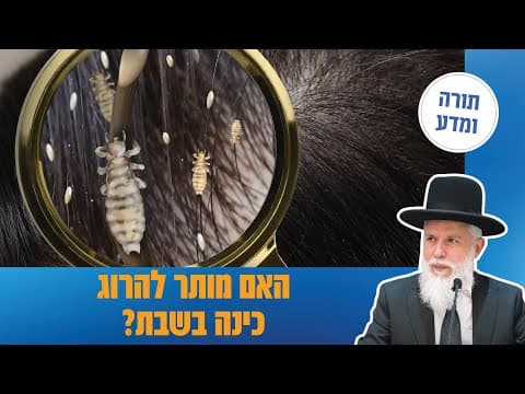 Рави Замир Коэн: Разрешено ли убивать вши в субботу?
