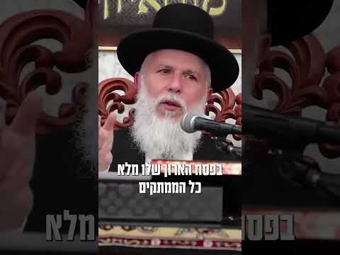 Однояйцевые близнецы и такие разные