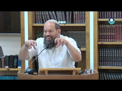 Авину Малькейну Доди: Обновление отношений в месяц Элуль и недельную главу Шофтим