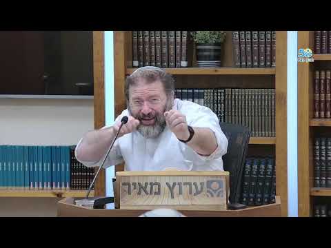 Ненависть к миру? - Афтара к главе Толдот | Раввин Хаги Лондин