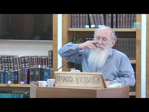 הקושי להסביר אלוקות והשימוש במשלים | מורה הנבוכים חלק 5