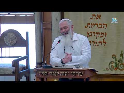 Лекция раввина Рана Бен-Моше об Эфраиме, Менаше и колене Дана