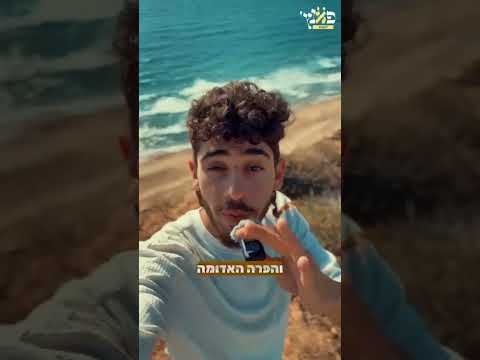 Великая мудрость иногда заключается в том, чтобы просто молчать