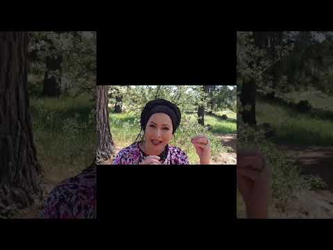 Что делать в седьмой день Песаха для великих спасений