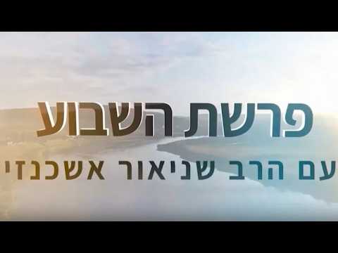 רבי שניאור אשכנזי - פרשת נח