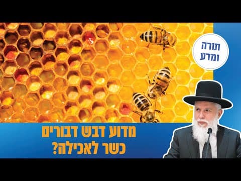 الشيخ زمير كהן: لماذا عسل النحل حلال للأكل؟