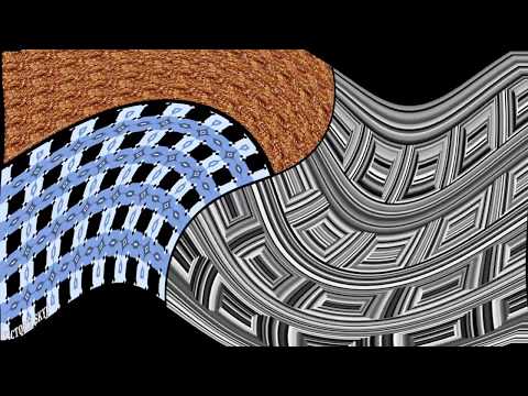 Things I Learned Today: Optical Illusions, Beer, and Ants