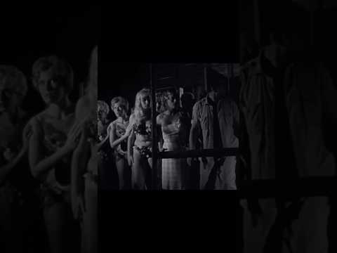 Horrors of Spider Island (1960): "Get Dressed and Follow Me"